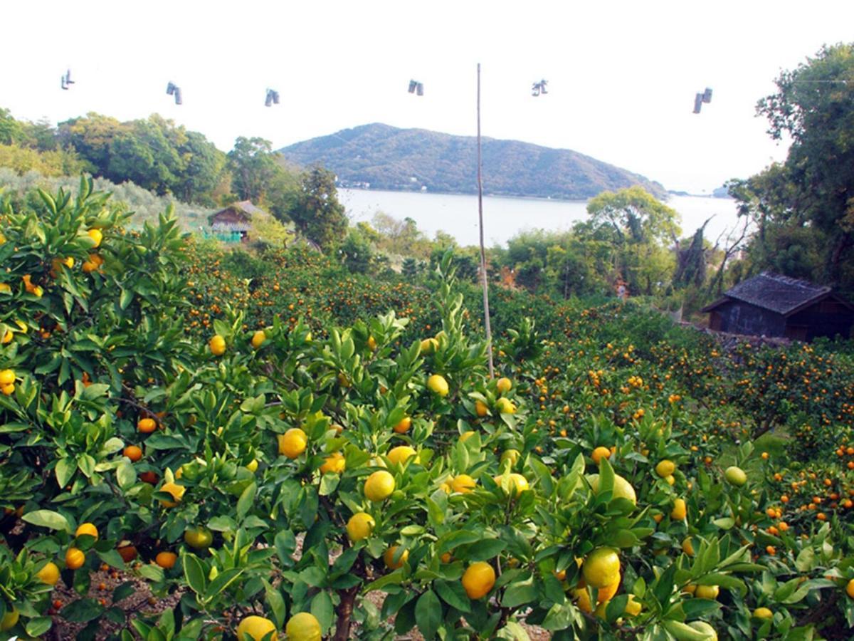 Olive No Sato Vingh Four Eyes Shodoshima - Vacation Stay 38568V Shimomura Exterior photo